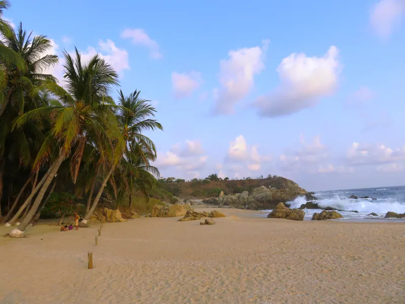 Arena amplia y palmeras en Playa Bacocho, Puerto Escondido